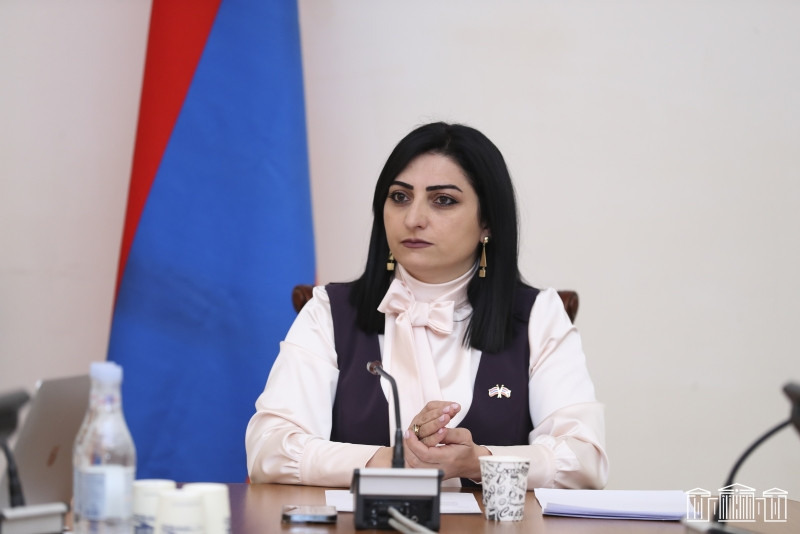 Թագուհի Թովմասյանն ահազանգել է միջազգային գործընկերներին