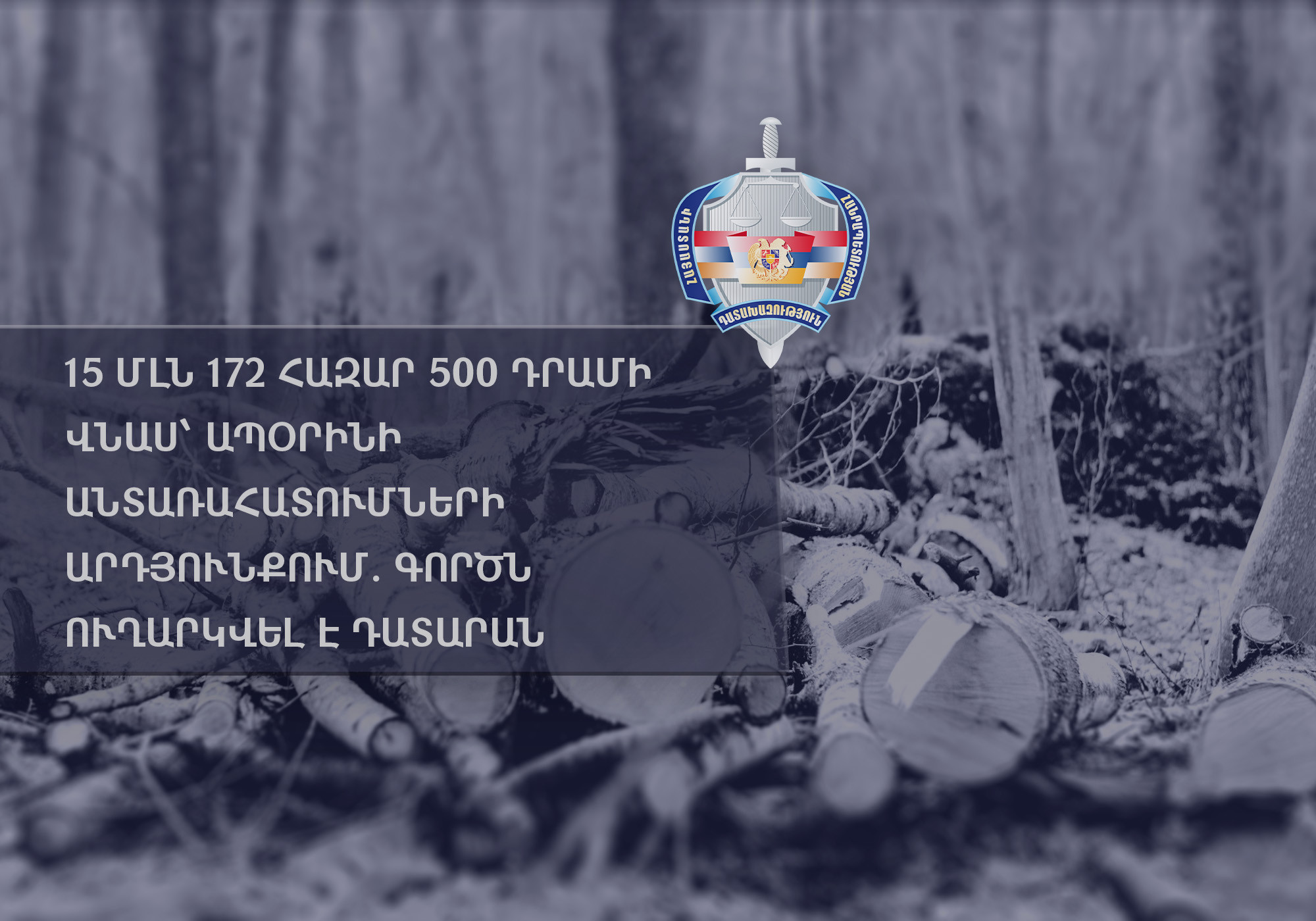 15 մլն 172 հազար 500 դրամի վնաս՝ ապօրինի անտառահատումների հետևանքով. գործն ուղարկվել  է դատարան