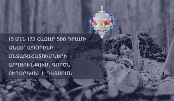 15 մլն 172 հազար 500 դրամի վնաս՝ ապօրինի անտառահատումների հետևանքով. գործն ուղարկվել  է դատարան