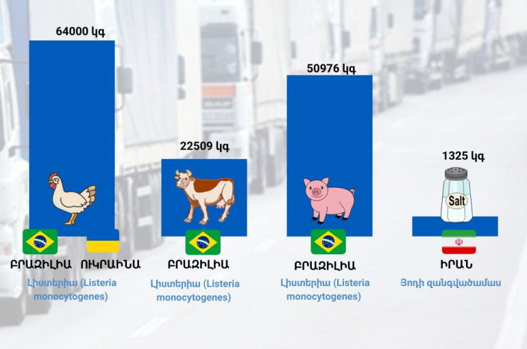 Արգելվել է Իրանից ՀՀ ներմուծել յոդացված աղ, Բրազիլիայից՝ միս