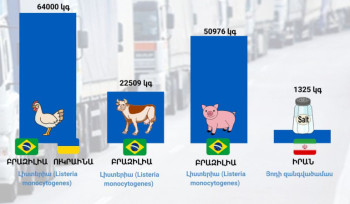 Արգելվել է Իրանից ՀՀ ներմուծել յոդացված աղ, Բրազիլիայից՝ միս