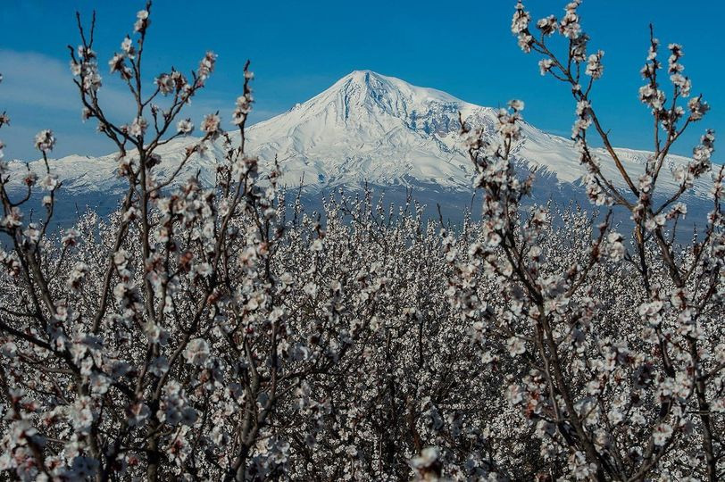 Մեկ շաբաթից՝ Արարատյան դաշտում և Երևանում․ Գագիկ Սուրենյանը լուսանկար է հրապարակել