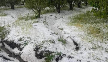 Սա ձյուն չէ, այլ` կարկուտ․ Սուրենյանը Օհանավանից լուսանկար է հրապարակել
