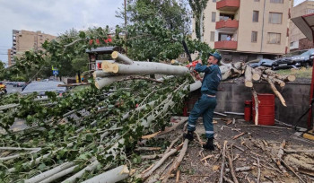 Երևանում և մարզերում քամու հետևանքով վնասվել են շինություններ, կոտրվել են ծառեր (լուսանկարներ)