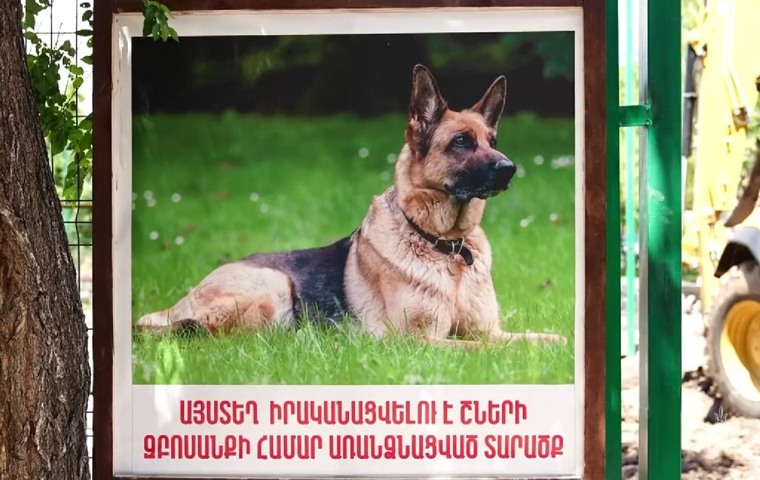 Շների համար նոր զբոսայգի՝ Նոր Նորքում