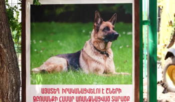 Շների համար նոր զբոսայգի՝ Նոր Նորքում