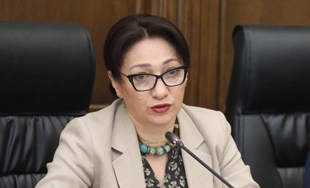 Այսօր բուհերը դարձել են քաղաքական հետապնդման օջախներ. Լիլիթ Գալստյան