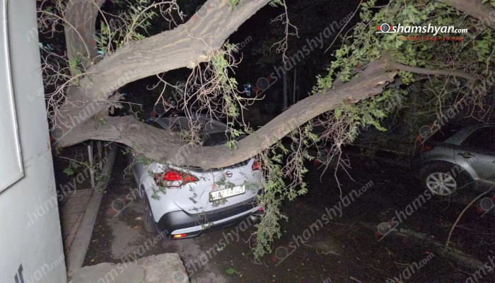 Շենքի բակում ծառը տապալվել է և վնասել «Nissan» ու «Suzuki» ավտոմեքենաները. ճանապարհը փակվել է