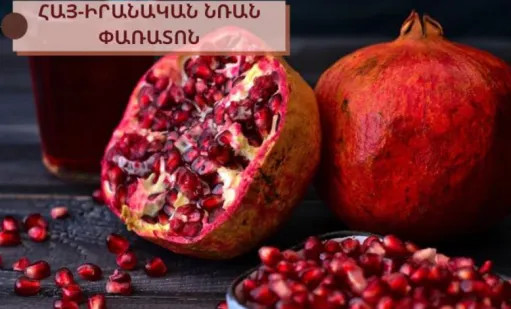 Մեղրիում հայ-իրանական նռան փառատոն կանցկացվի