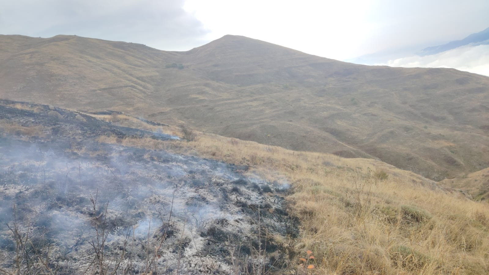 Մեղրի քաղաքի «Թաղամիր» կոչվող տարածքի մոտակա սարալանջին այրվել է մոտ 41 հա խոտածածկույթ