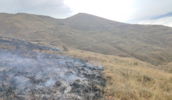 Մեղրի քաղաքի «Թաղամիր» կոչվող տարածքի մոտակա սարալանջին այրվել է մոտ 41 հա խոտածածկույթ