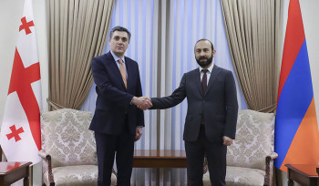 Գնահատում եմ սերտ համագործակցությունը՝  ուղղված Հայաստանի և Վրաստանի միջև համագործակցության ամրապնդմանը. Արարատ Միրզոյան
