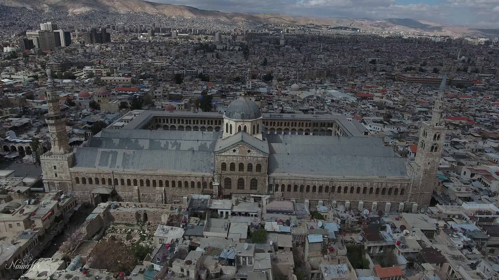 Սիրիական բանակի հրամանատարությունը սպաներին տեղեկացրել է Բաշար ալ-Ասադի վարչակարգի տապալման մասին. Reuters
