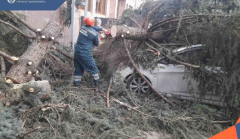 Երևանում եղևնին ընկել է մեքենայի վրա. երկու մարդ վիրավոր է