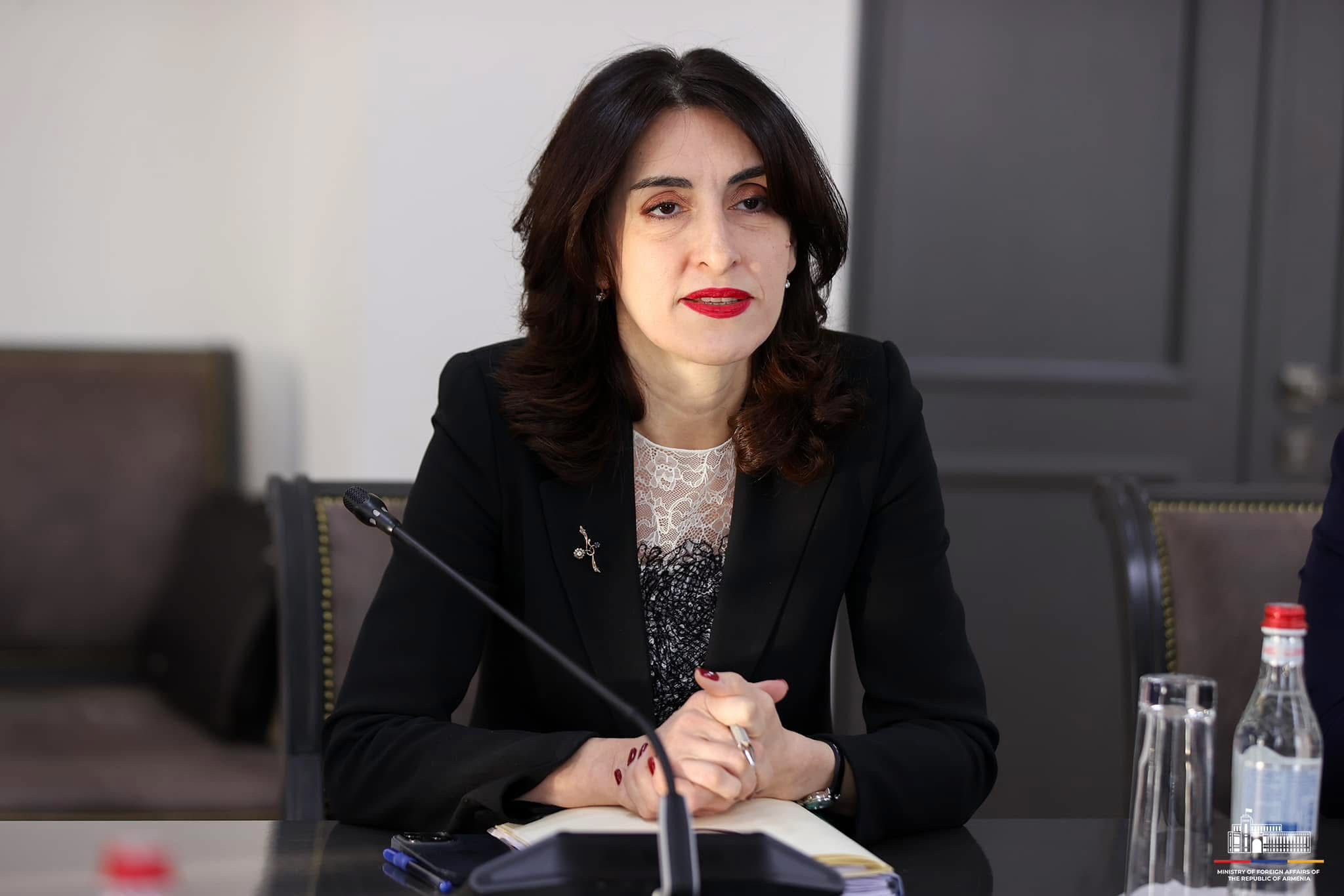 Հուսանք, որ Հայաստանի և Ադրբեջանի միջև կլինի խաղաղության այնպիսի պայմանագիր, որն ընդունելի կլինի երկու կողմերի համար էլ. Վրաստանի ԱԳ նախարար