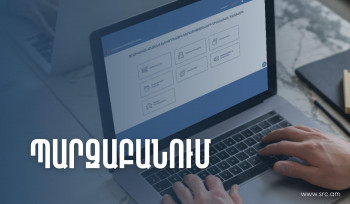 Հայաստանում գտնվող օտարերկրացիները եկամուտների հայտարարագիր ներկայացնելու պարտավորություն չունեն․ ՊԵԿ պարզաբանումը