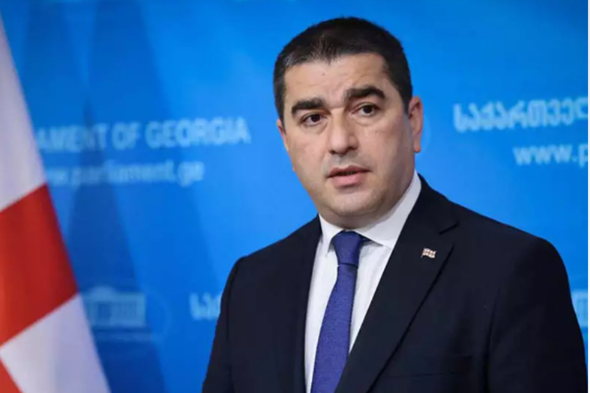 Պապուաշվիլին օտարերկրյա դեսպաններին մեղադրել է Վրաստանի ներքին գործերին միջամտելու մեջ