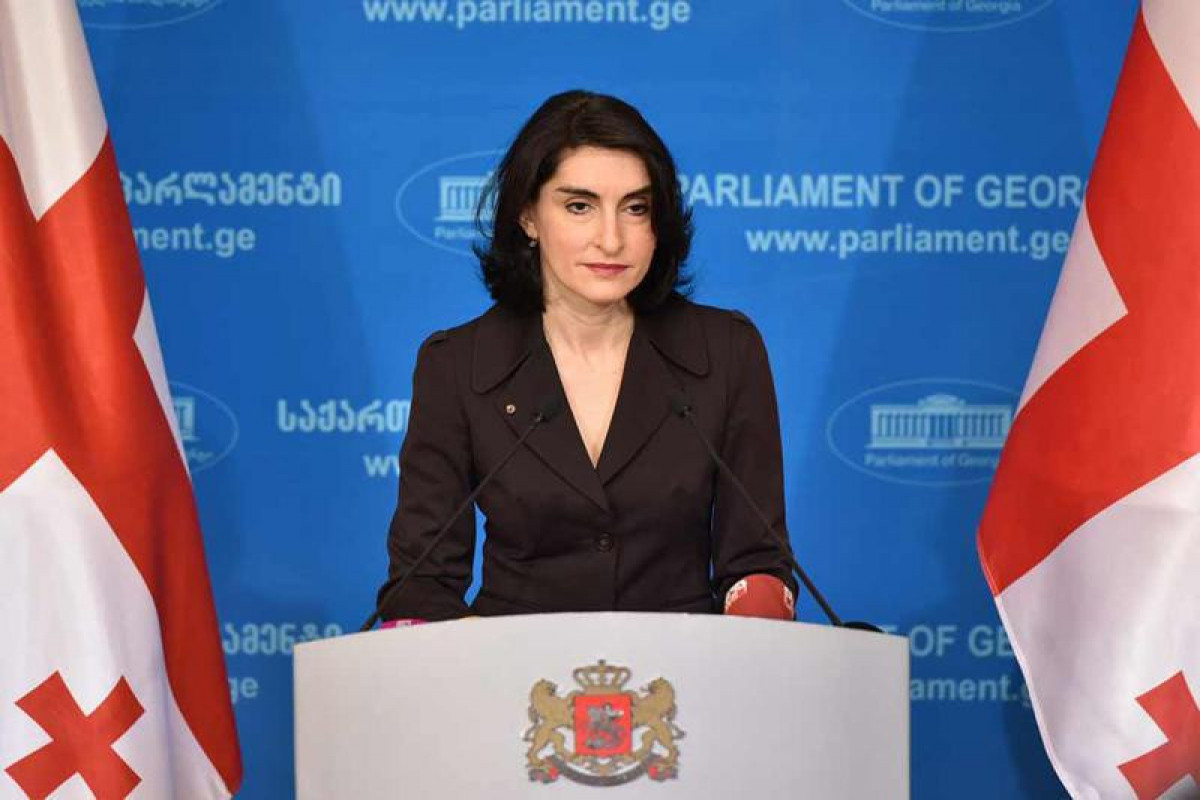 Վրաստանում «Մայդանի» սցենարը ոչ միայն քննարկվել է, այլև նախապատրաստական ​​աշխատանքներ են տարվել. Բոչորիշվիլի