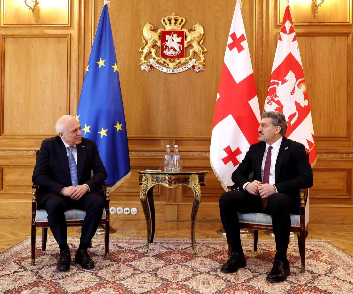 Օրբելիանիների պալատում Վրաստանում ՀՀ դեսպանն ընդունել է Վրաստանի նախագահին