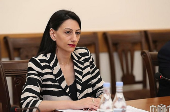 Ըստ Մանասյանի՝ հացադուլի մեջ գտնվող Մանե Թանդիլյանը քնած է եղել, այլ ոչ թե հրաժարվել է հանդիպումից