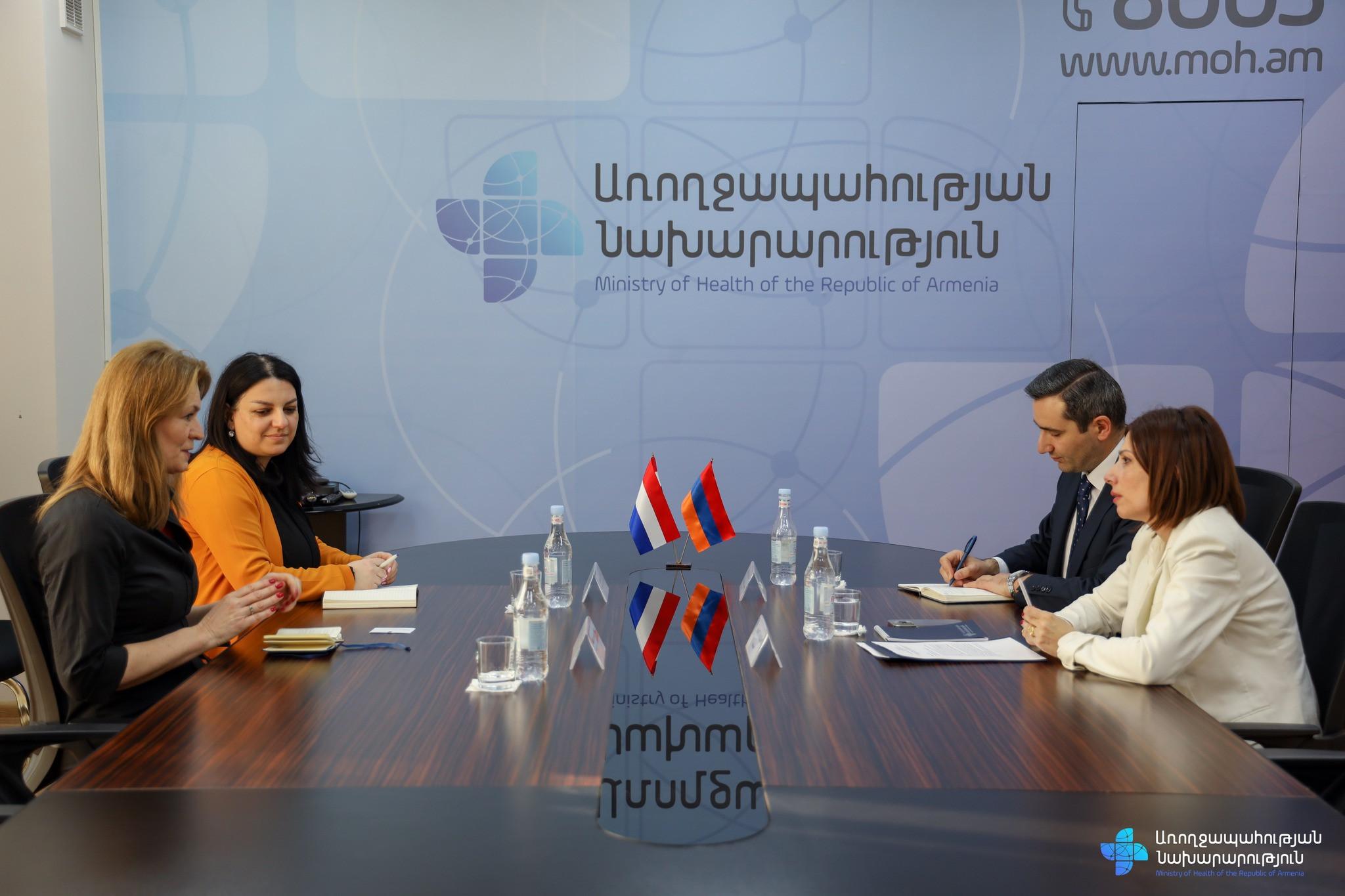 Մեր երկրները համագործակցության կարևոր օրակարգ ունեն․ Անահիտ Ավանեսյանն ընդունել է Հայաստանում Նիդերլանդների դեսպանին