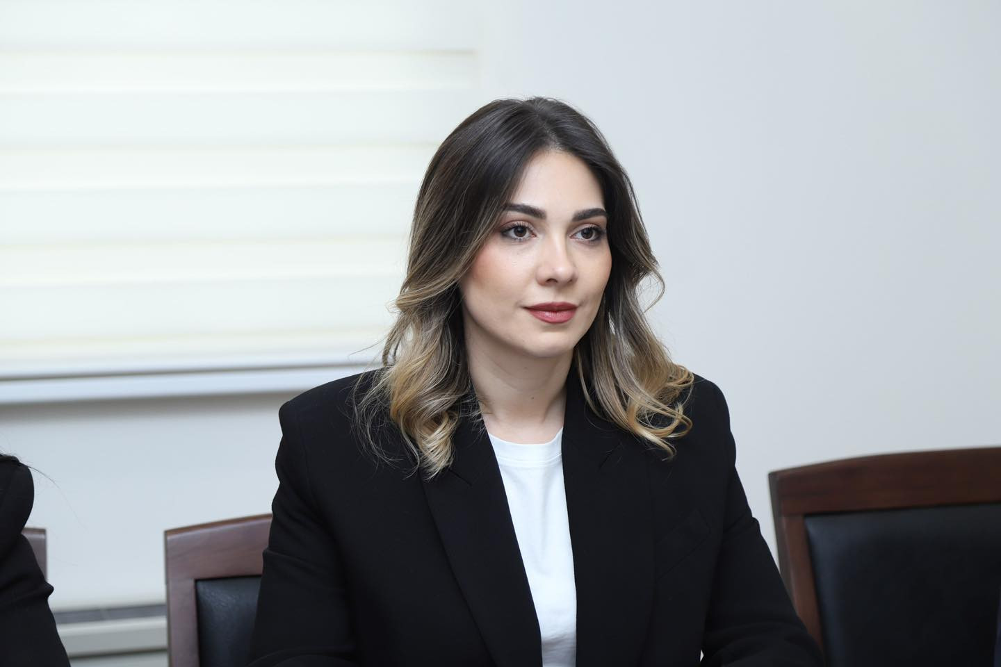 Սրբուհի Գալյանը կմեկնի ԱՄՆ՝ մասնակցելու «Գործընկերություն հանուն կոռուպցիայի դեմ պայքարի» համաժողովին