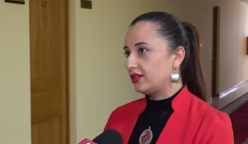 Ոսկու սրահը բացել է հայրս, ամուսնուս բիզնեսն էլ նոր չէ և բացարձակ եկամուտ չի բերում, վնասում է․  ՔՊ-ական Էմմա Պալյան