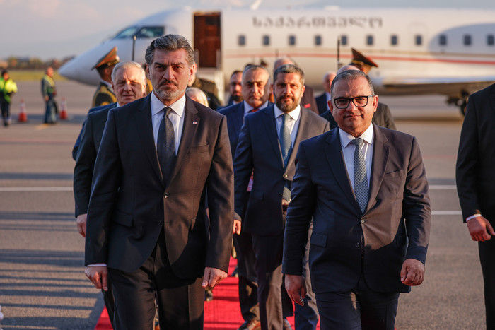 Փոխվարչապետ Տիգրան Խաչատրյանը դիմավորել է Վրաստանի նախագահ Միխեիլ Ղավելաշվիլիին
