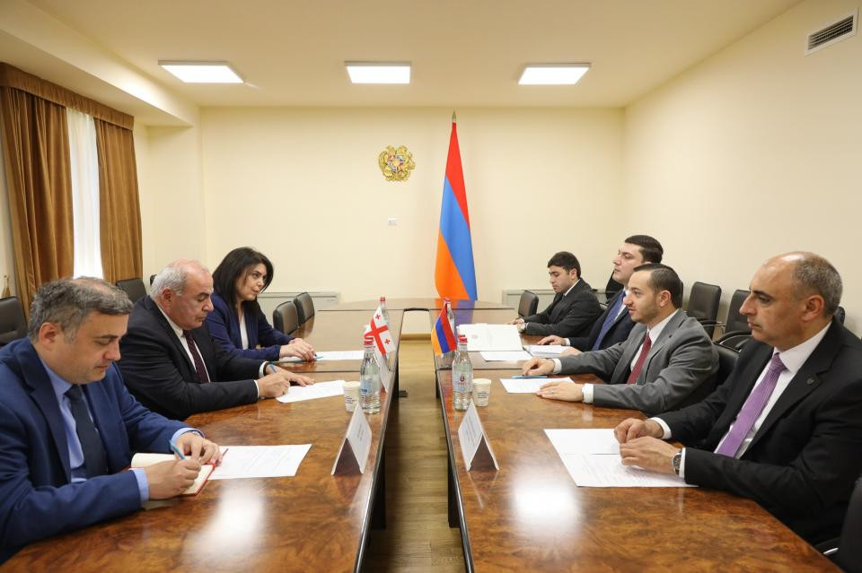 Մխիթար Հայրապետյանը ընդունել է Հայաստանում Վրաստանի դեսպանին