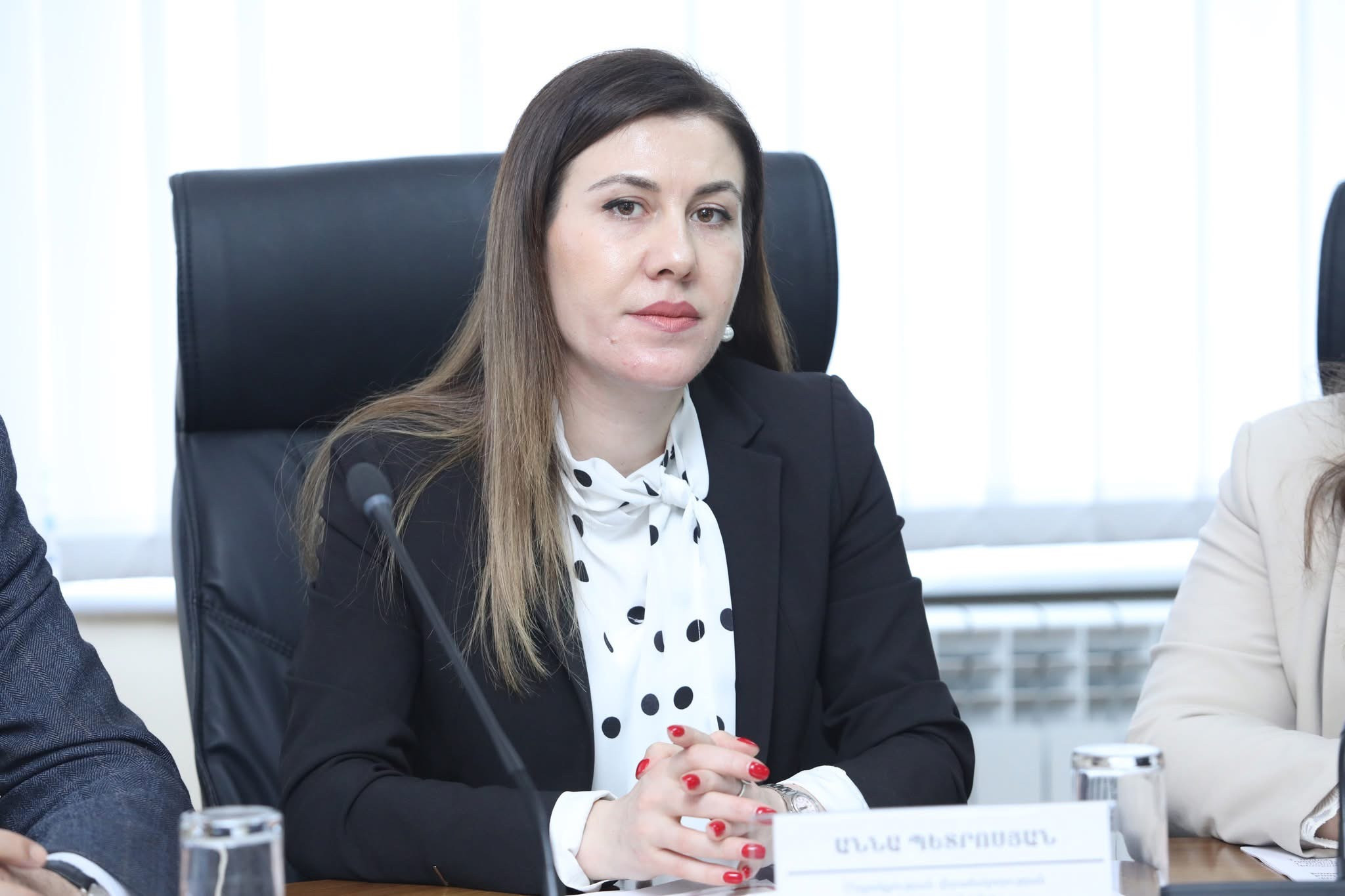 Կառավարությունը Աննա Պետրոսյանի թեկնածությունն առաջադրել է Մրցակցության պաշտպանության հանձնաժողովի անդամի պաշտոնում