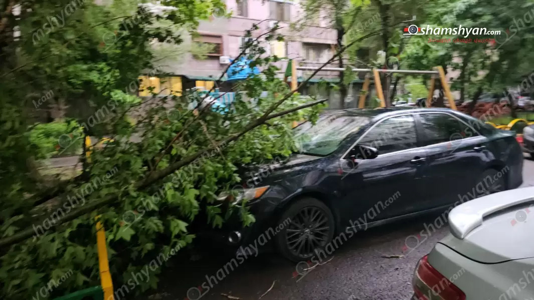 Երևանում ուժեղ քամու հետևանքով ծառի ճյուղը պոկվել և ընկել է կայանված «Toyota Camry»-ի վրա․ shamshyan.com