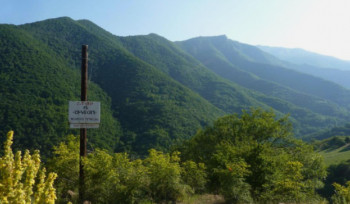Ադրբեջանը Շիկահողի արգելոցում 60 հա անտառ է հատել. պետական մարմինները լռում են. «Հետք»