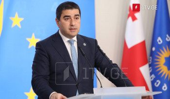 Վրաստանի խորհրդարանի նախագահը Մակրոնի, Տուսկի և Մերցի հայտարարությունը անվանում է վրաց ժողովրդի դեմ ուղղված ամոթալի հարձակում