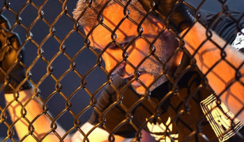 Հայաստանի Mix Fight ֆեդերացիայի մրցավարական կազմը նոր ղեկավար ունի