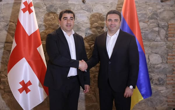 Վրաստանի խորհրդարանի նախագահ Շալվա Պապուաշվիլիի հրավերով Վրաստանում եմ, որտեղ հանդիպում ունեցա գործընկերոջս հետ․ Ալեն Սիմոնյան
