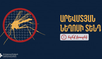 Հայաստանում արձանագրվել է Արևմտյան Նեղոսի տենդ հիվանդության դեպք