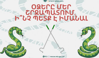 Ինչ անել օձի կծելու դեպքում