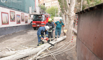 Քամին Երևանում և որոշ մարզերում ծառեր և սյուներ է տապալել (լուսանկարներ)