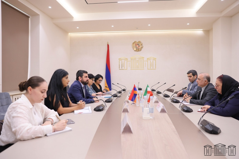 Սարգիս Խանդանյանը ընդունել է ՀՀ-ում Իրանի դեսպանին