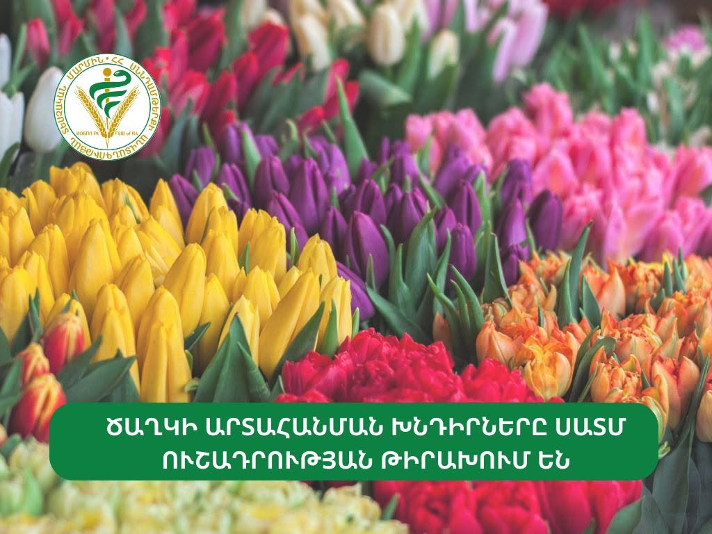 ՍԱՏՄ-ն՝ հայկական ծաղիկների արտահանման խնդիրների մասին
