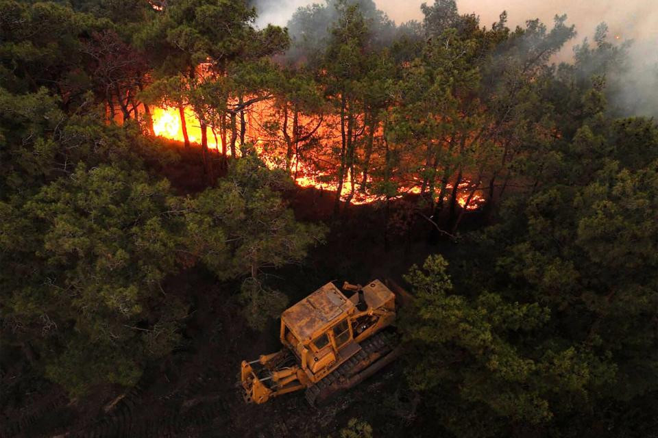 Լաթաքիայում մոլեգնող անտառային հրդեհները հաջողվել է մարել