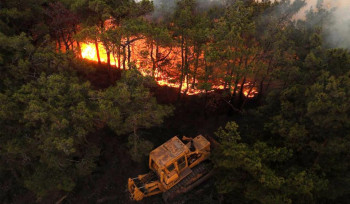 Լաթաքիայում մոլեգնող անտառային հրդեհները հաջողվել է մարել