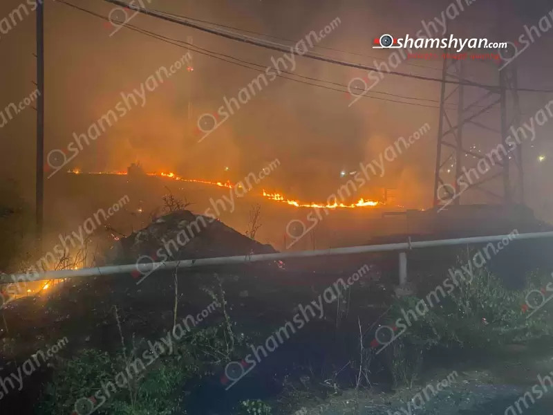 Խոշոր հրդեհ՝ Թբիլիսյան խճուղուն հարակից խոտածածկ տարածքում (լուսանկարներ). shamshyan.com