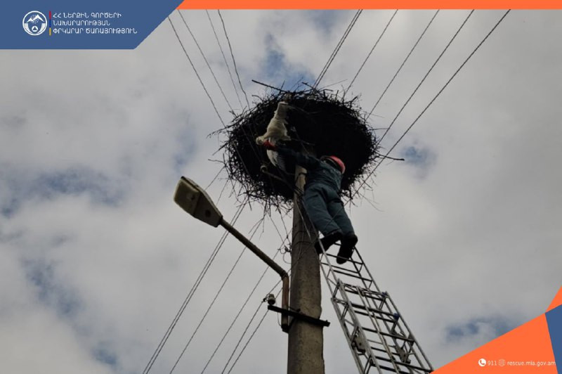 Փրկարարներն օգնություն են ցուցաբերել արագիլի ձագին