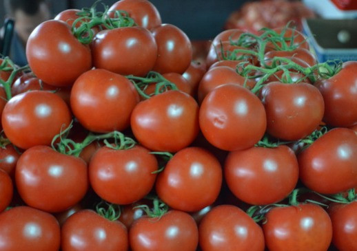 Կառավարությունը կաջակցի տոմատի մածուկի արտադրման նպատակով 2000 տոննայից ավել լոլիկ մթերող տնտեսվարողներին