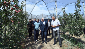 Վահագն Խաչատուրյանը Կոտայքի մարզում ծանոթացել է ինտենսիվ այգեգործության ծրագրին