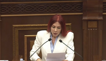 Քաղցկեղով հիվանդ քաղաքացին ո՞նց կարող է 300 հազար դրամով բուժվել. Ագնեսա Խամոյան