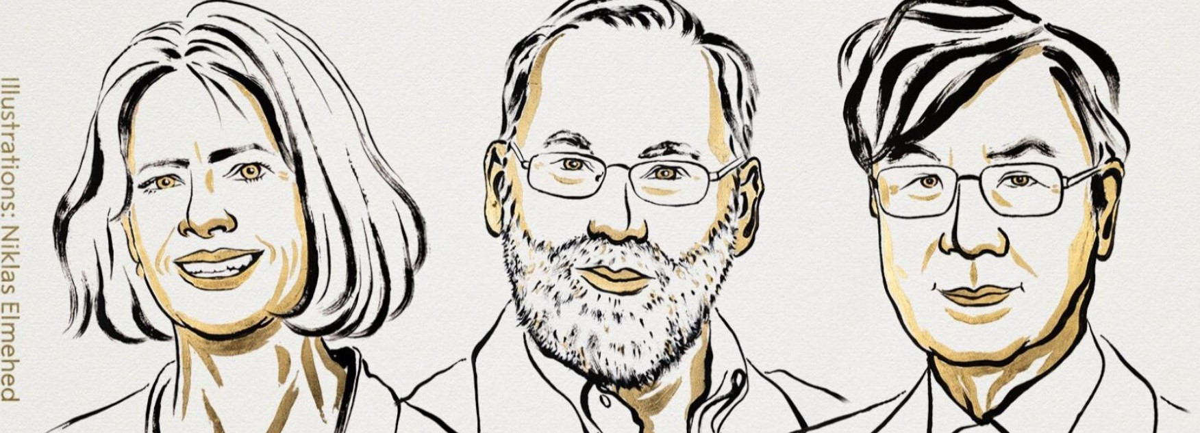 Հայտնի են բժշկության ոլորտում Նոբելյան մրցանակի 2025 թվականի դափնեկիրները