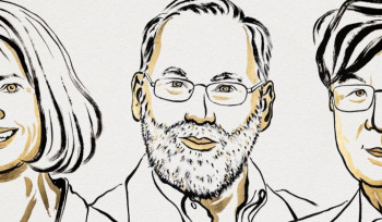 Հայտնի են բժշկության ոլորտում Նոբելյան մրցանակի 2025 թվականի դափնեկիրները