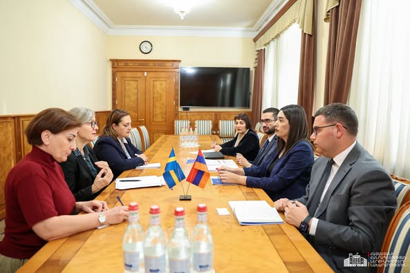 ՆԳ նախարարն ընդունել է Շվեդիայի նորանշանակ դեսպանին